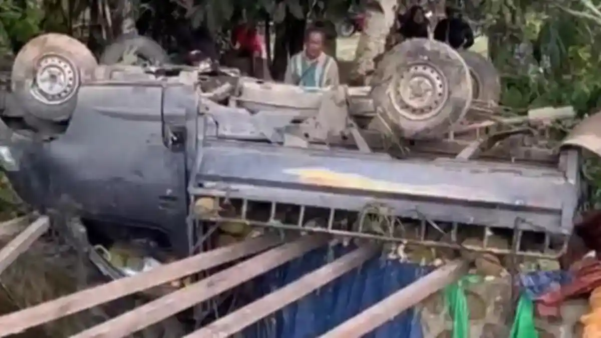 Hilang Kendali, Pikap Bermuatan Durian Tabrak Pohon Lalu Terguling di Mempawah, Kernet Meninggal - Banjarmasinpost.co.id