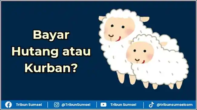 Tribun