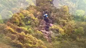 helikopter-yang-ditumpangi-presiden-iran-ebrahim-raisi-dilaporkan-jatuh-dan-menewaskan-presiden-iran.jpg