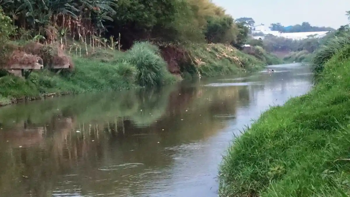 Diguyur Hujan Sore Ini, Hulu Sungai Cileungsi Bogor Siaga 3