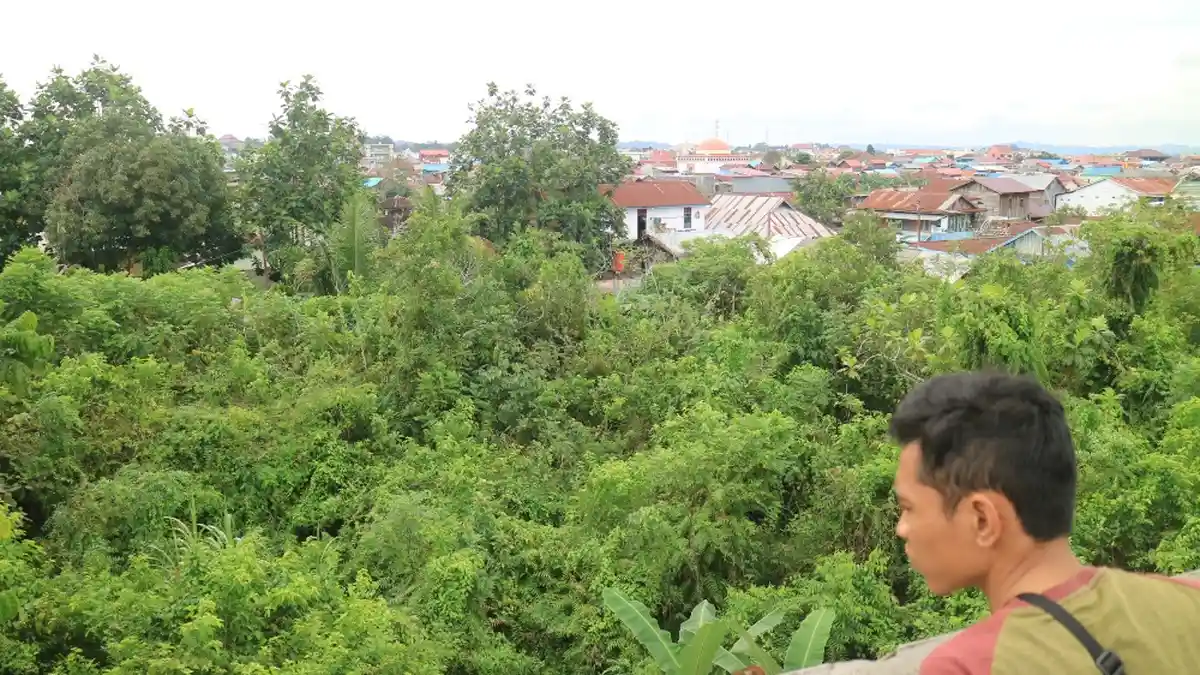 Bekantan Muncul di Pemukiman Warga