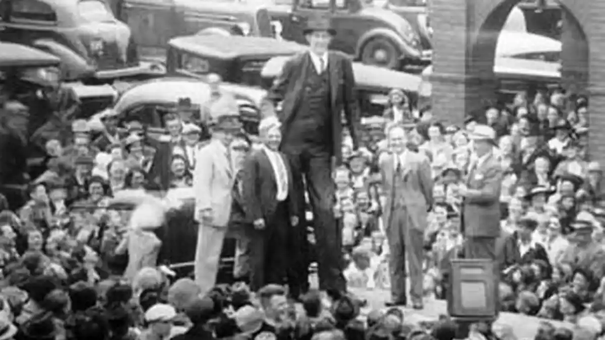 Masih Ingat Robert Wadlow? Manusia Tertinggi Dunia, Meninggal Panjang Peti 3 Meter Digotong 18 Orang