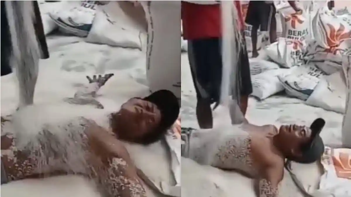 Viral Bulog Pecat Buruh yang Sengaja Mandi Beras, Kepala Gudang Dimutasi