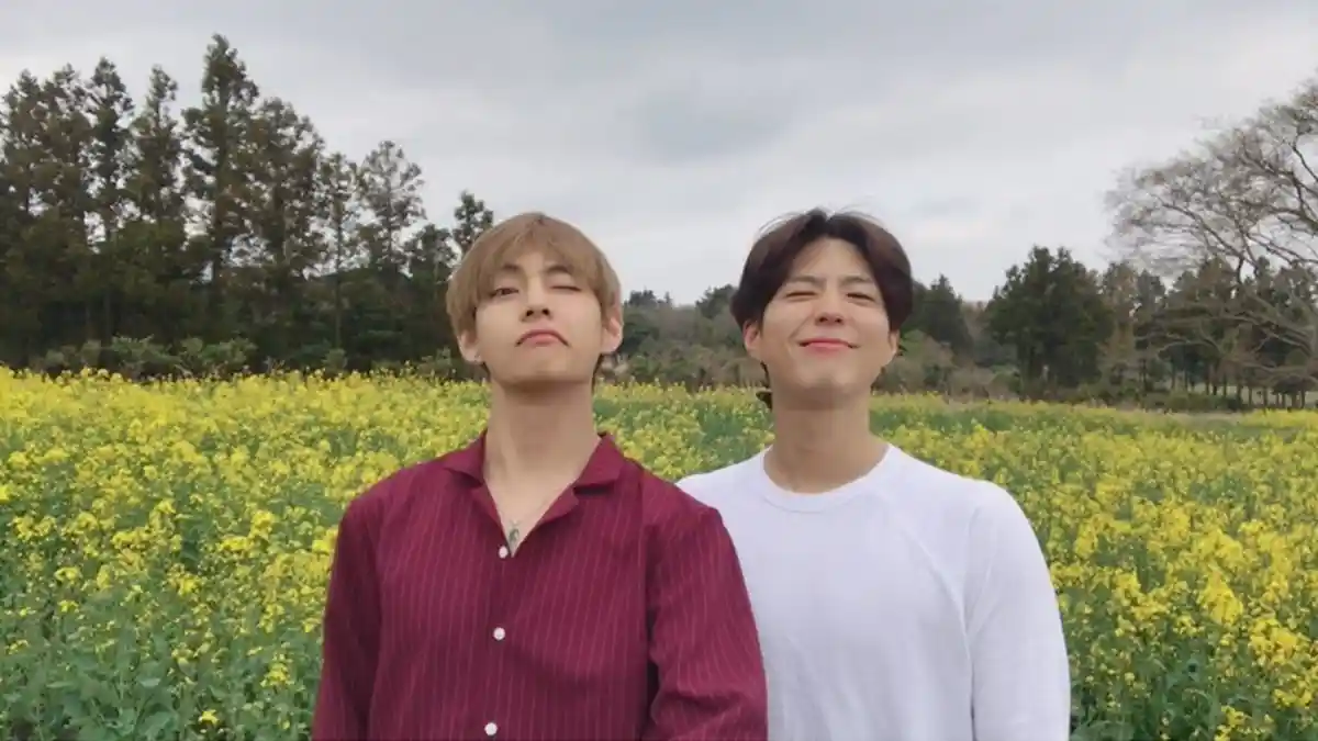 Park Bo Gum Berencana Buat Lagu Duet dengan V 'BTS'