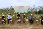 Luncurkan-Program-Jaksa-Sahabat-Petani-Kejari-PALI-ikut-Panen-Jagung.jpg