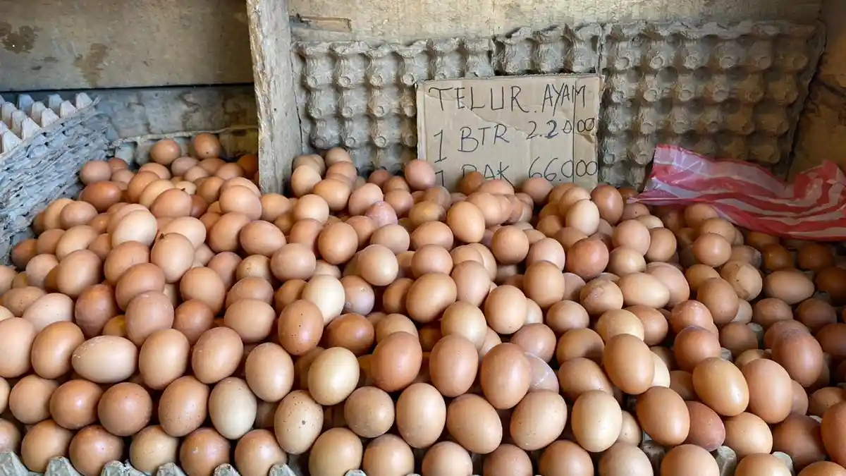 Update Harga Telur Ayam di Pasar Mardika Ambon: Rp 66 Ribu per Rak