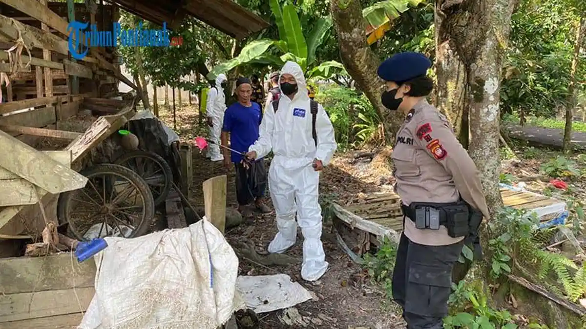 Satgas Pantau Pelaksanaan Pemotongan Hewan Kurban