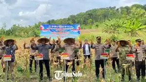 Panen-raya-jagung-oleh-Polres-Klaten-di-Dukuh-Batilan.jpg