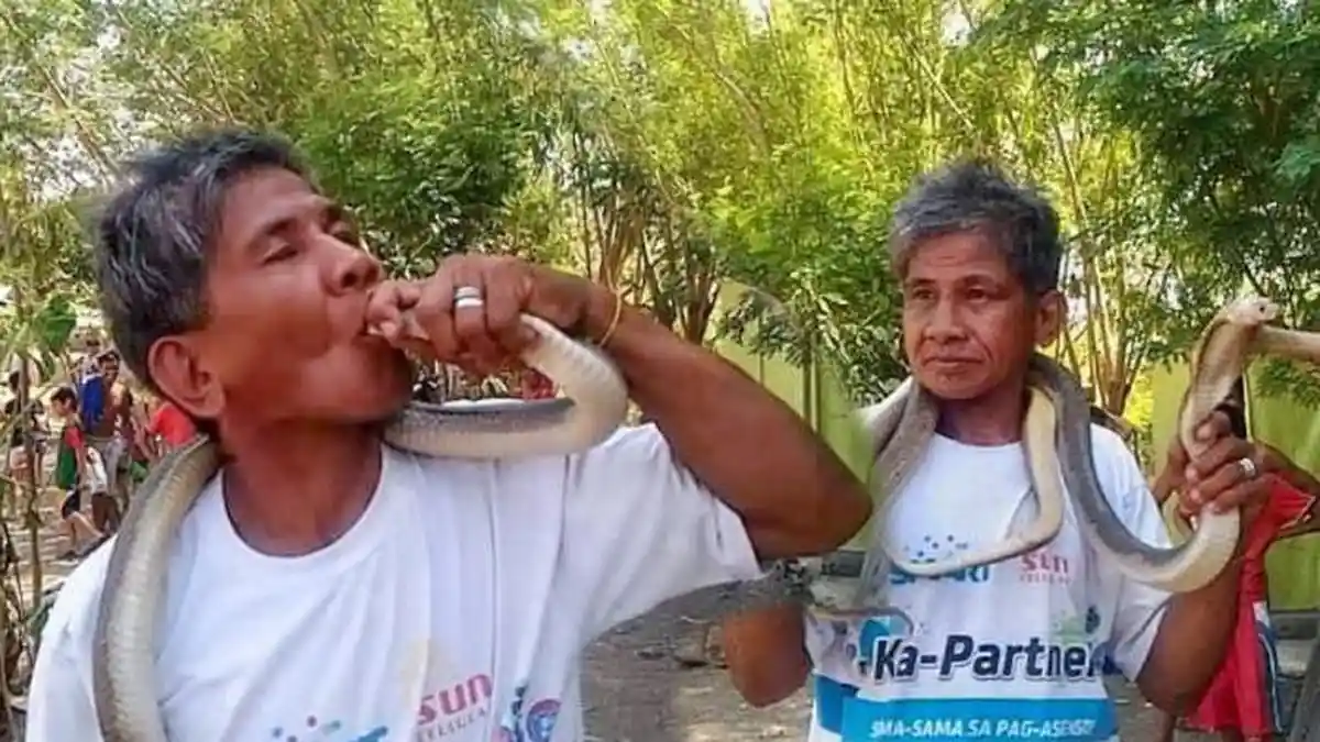 Pawang Ular di Filipina Tewas Digigit Kobra, Sempat Mengaku Kebal Bisa