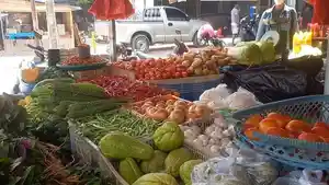 Pasar-Anduonohu-Kota-Kendari-harga-bahan-pokok.jpg