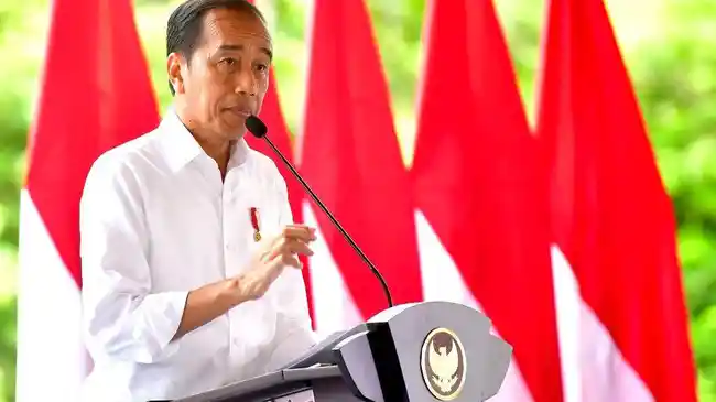 KPK Usut Kasus Dugaan Korupsi Bansos Presiden 2020, Jokowi: Silakan Diproses