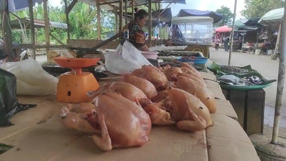 Harga Sembako di Sumsel Selasa, 16 Desember 2025, Daging Ayam Ras Sentuh Rp 38.500/ Kg
