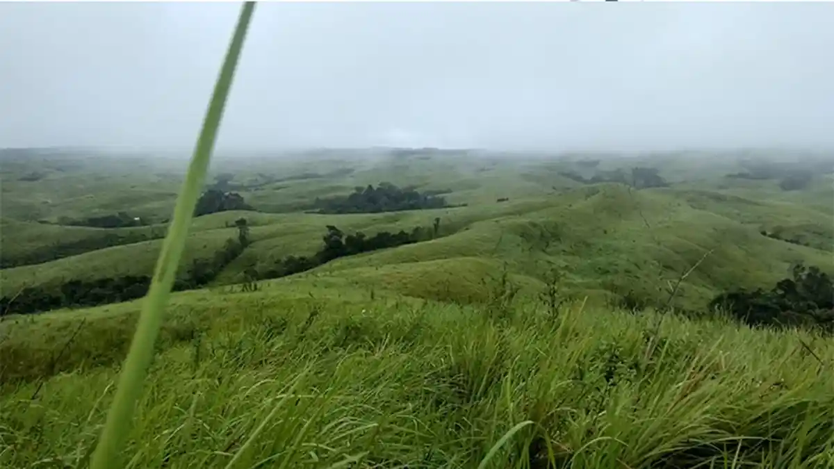 Komunitas Djelajah Borneo Kunjungi Bukit Seligi di Melawi