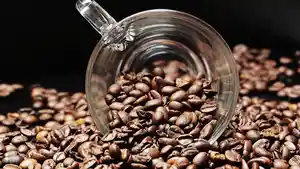 sbsbernjrtmk-kopi.jpg