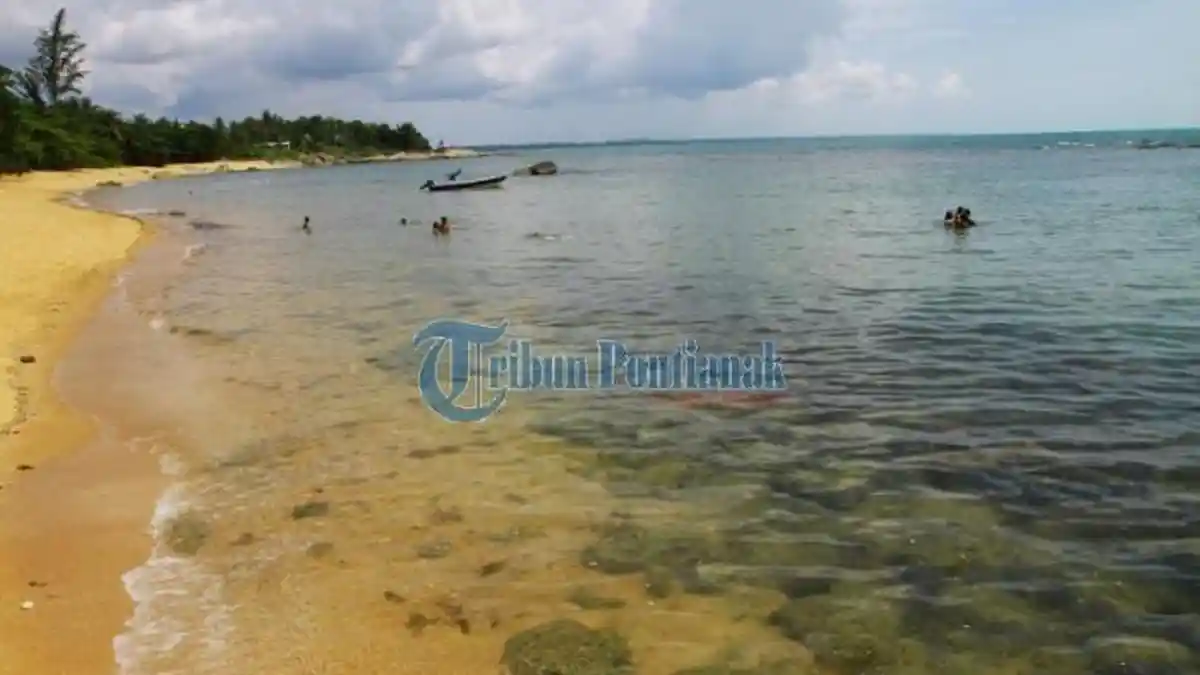 Ngeri! Di Daerah Ini Ada Para Pemburu yang Ambil Paksa Telur Dari Dalam Tubuh Penyu