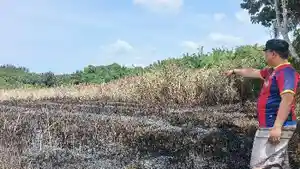 lokasi-kebakaran-lahan-tidur-di.jpg