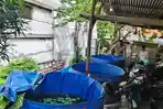 polisi-warga-budidaya-lele.jpg