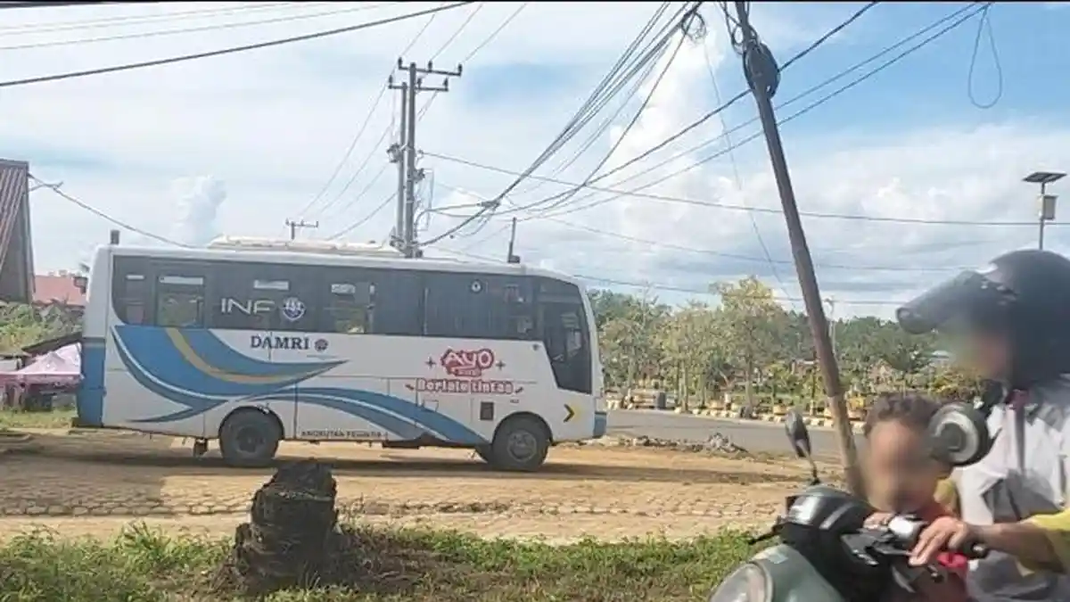 Jadwal Damri Terbaru KTT-Tanjung Selor dan Malinau Senin 1 Juni 2026