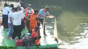 Munjirin-bersihkan-ikan-sapu-sapu-di-Waduk-Kaja13.jpg