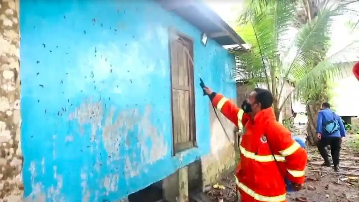 Pemerintah Kabupaten Asahan Semprot Cairan Anti Hama untuk Antisipasi Wabah Ulat Bulu