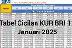 Cicilan-KUR-BRI-12-JAN-2025.jpg
