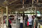 Disnak Aceh Kerahkan Tim Pengawasan Pemotongan Hewan Meugang ke Langsa dan Aceh Tamiang