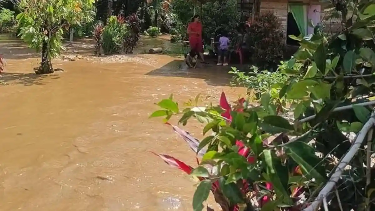 BREAKING NEWS: Banjir Terjang Bukit Makmur Parigi Moutong, Jembatan Dusun Putus