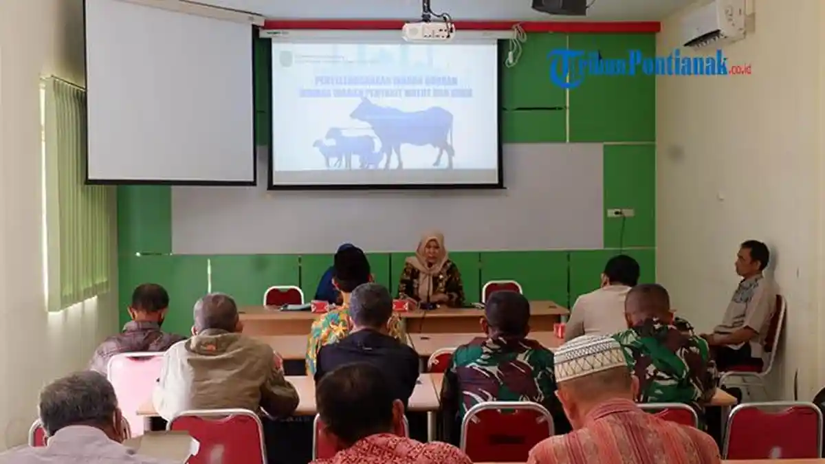Dinas PKPP Mencatat 296 Sapi dan 86 Kambing Siap untuk Kurban di Singkawang