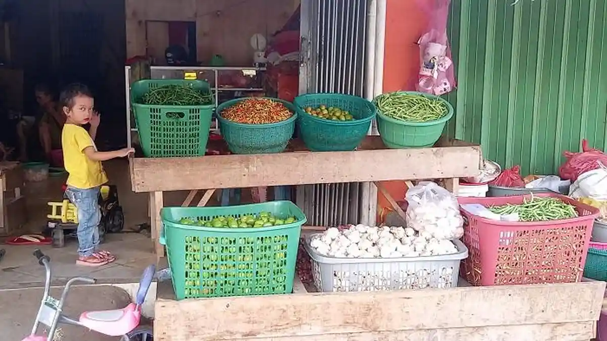 BPS Sebut Inflasi di Sulteng Masih dalam Batas Wajar