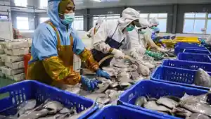 Industri-pengolahan-ikan.jpg