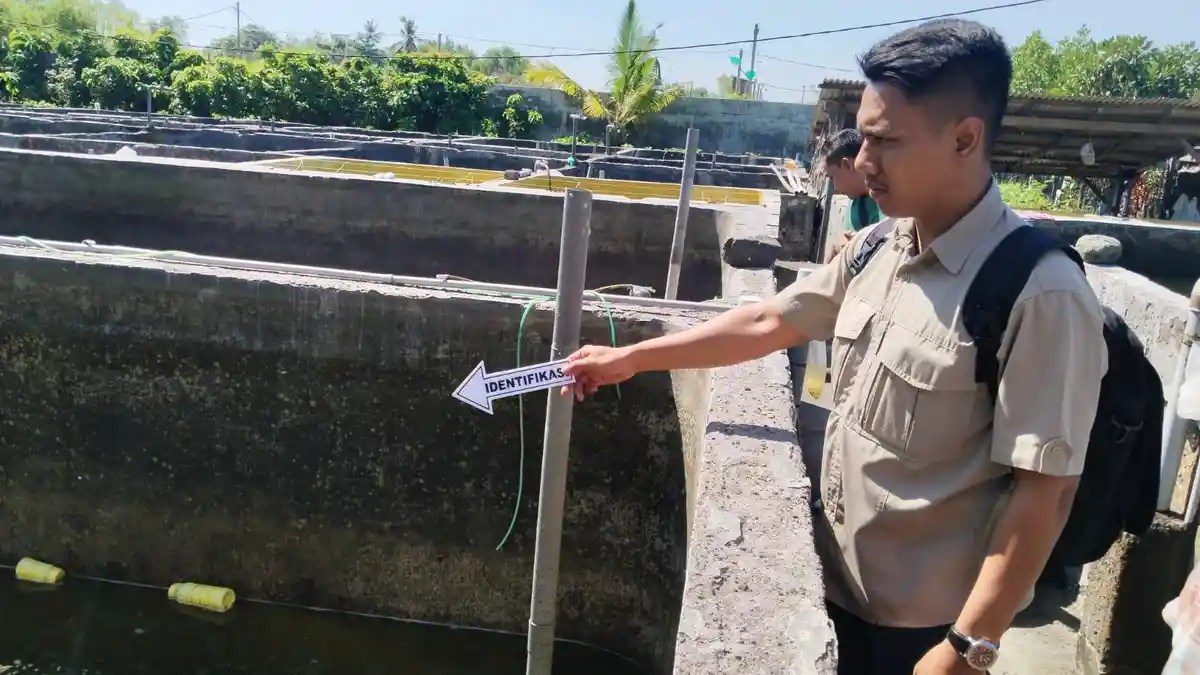 Kronologi Dua Bocah di Buleleng Bali Ditemukan Meninggal di Tambak, Diduga Jatuh Saat Mencari Ikan - Tribun-bali.com