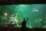 Persiapan Taman Impian Jaya Ancol Jelang Dibuka Kembali