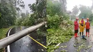 Hujan-Disertai-Angin-Kencang-Akibatkan-Pohon-dan-Tiang-Listrik-di-Minut-Sulut-Tumbang.jpg