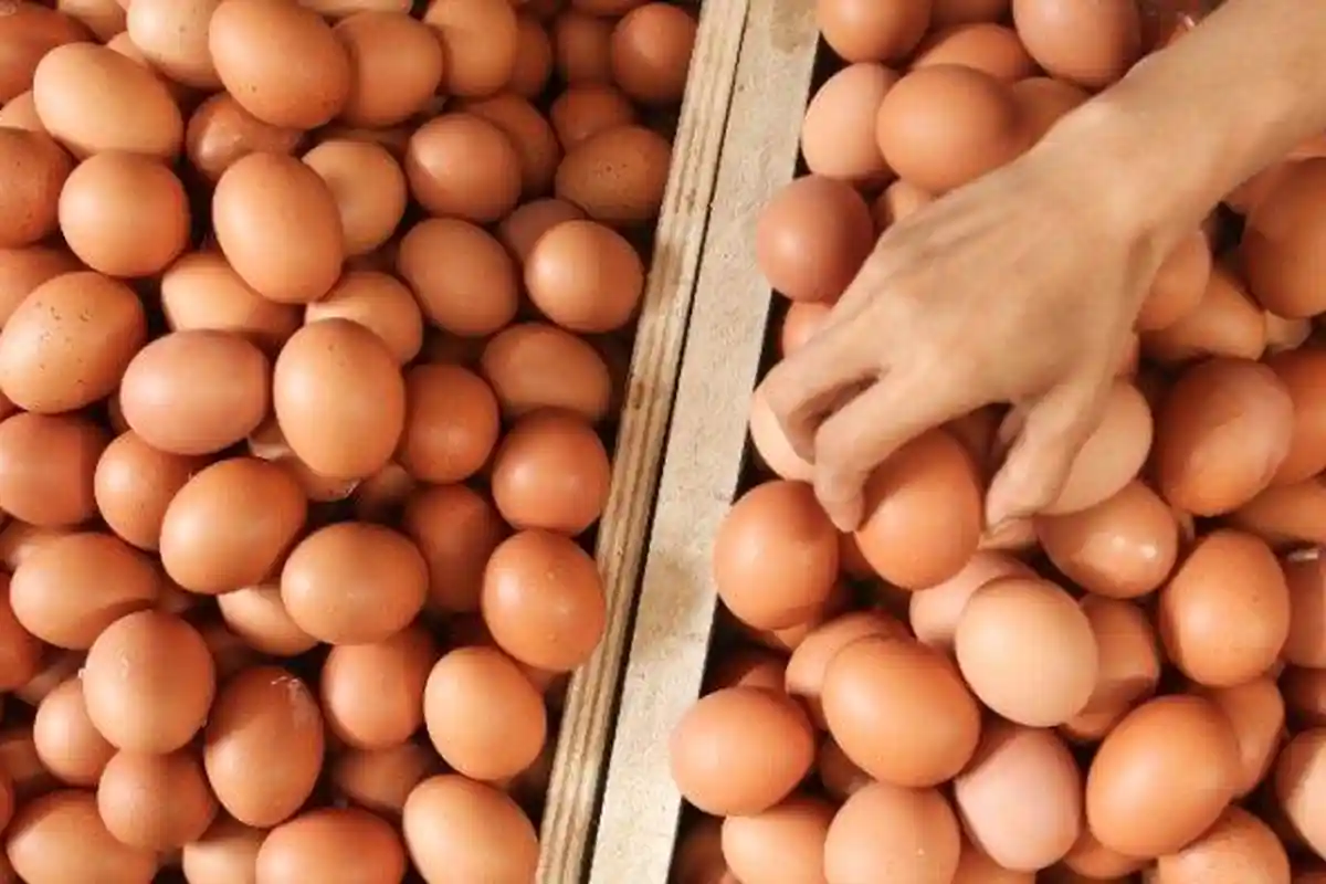 Harga Telur Turun Tipis di Pasar Kangkung Bandar Lampung, Rp 26.500 per Kg