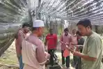 Inovatif! Mahasiswa Umuslim Olah Tanah Sedimen Banjir Jadi Media Tanam Padi dalam Polybag