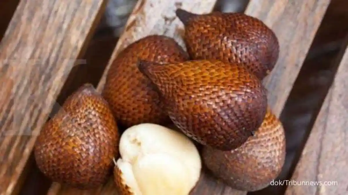 Kadar Gula Darah Bisa Cepat Turun dengan Mengonsumsi Buah Salak, Ini 10 Manfaat Buah Salak