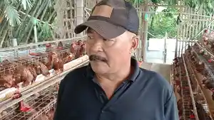 Fatkurrohman-Eks-Perangkat-Desa-Tinggar-Jombang-Jatim-Sukses-Jadi-Peternak-Ayam-Petelur.jpg