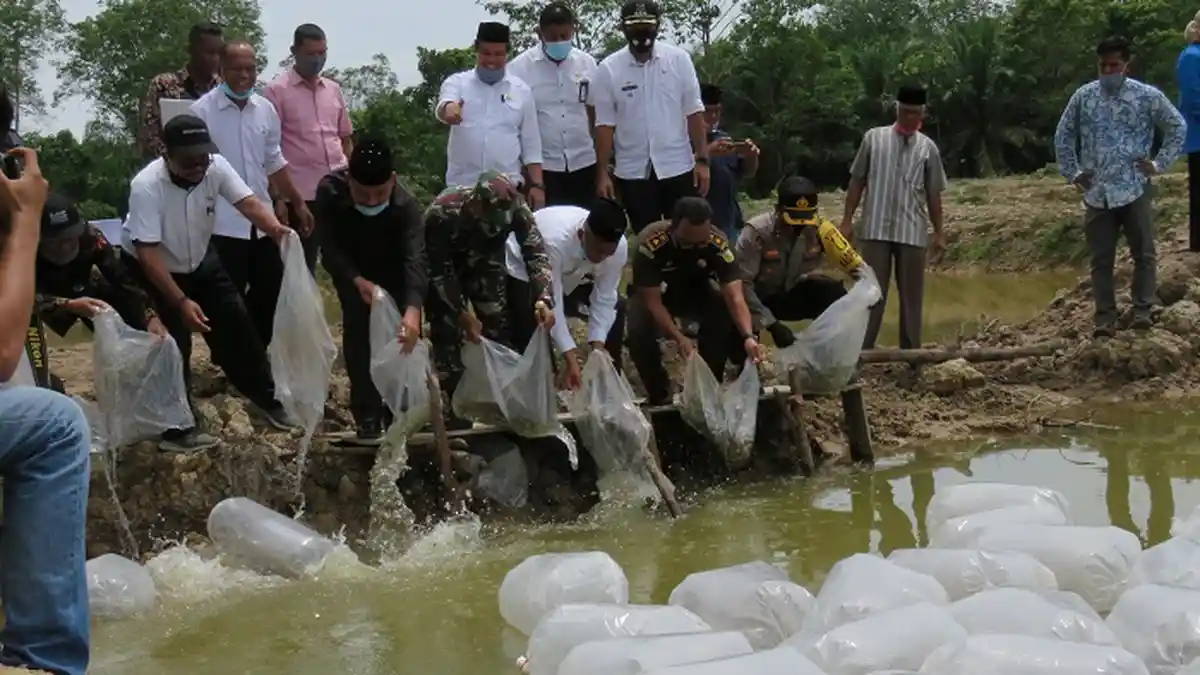 Bupati Nagan Raya Tebarkan Benih Ikan Seurukan di Kolam Gampong Krueng Ceh