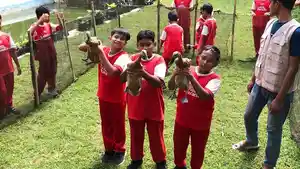 21052025-tangkap-bebek-di-kampung-gagot-purbalingga.jpg