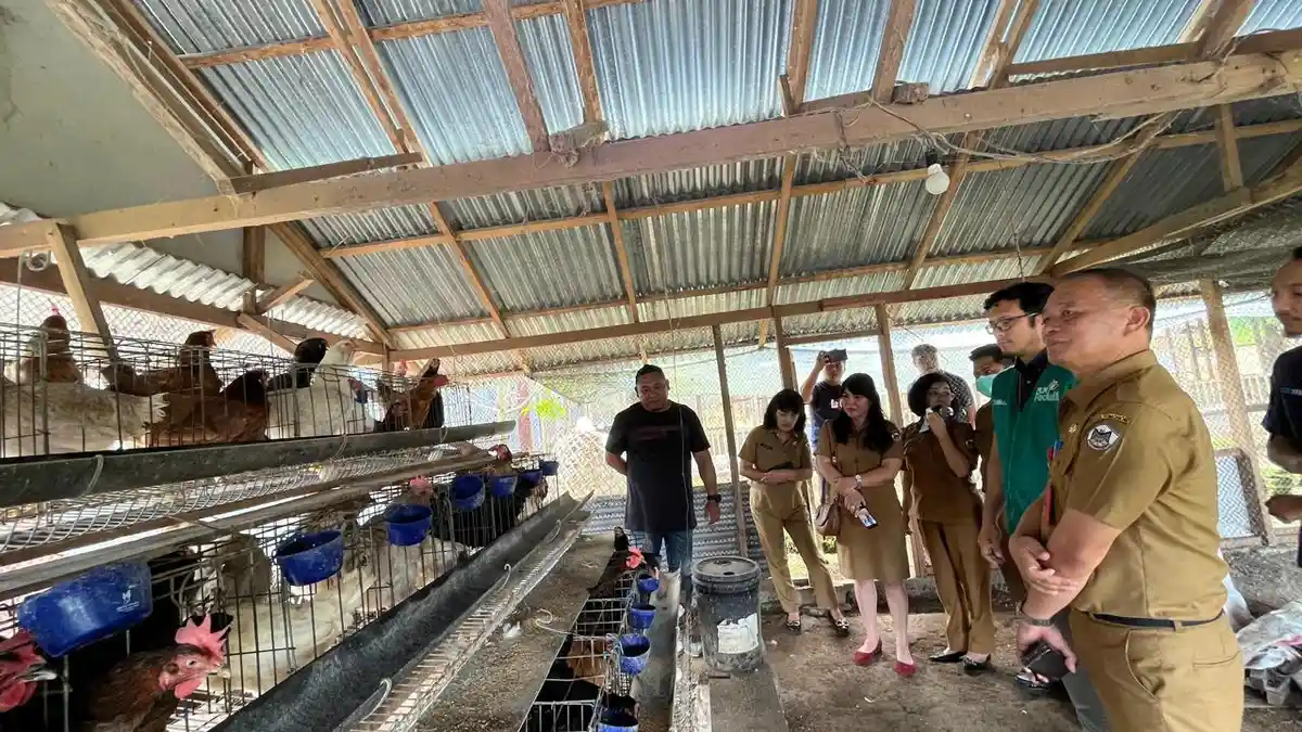 PLN UP3 Manado Dukung Ketahanan Pangan Lewat Pelatihan Budidaya Ayam