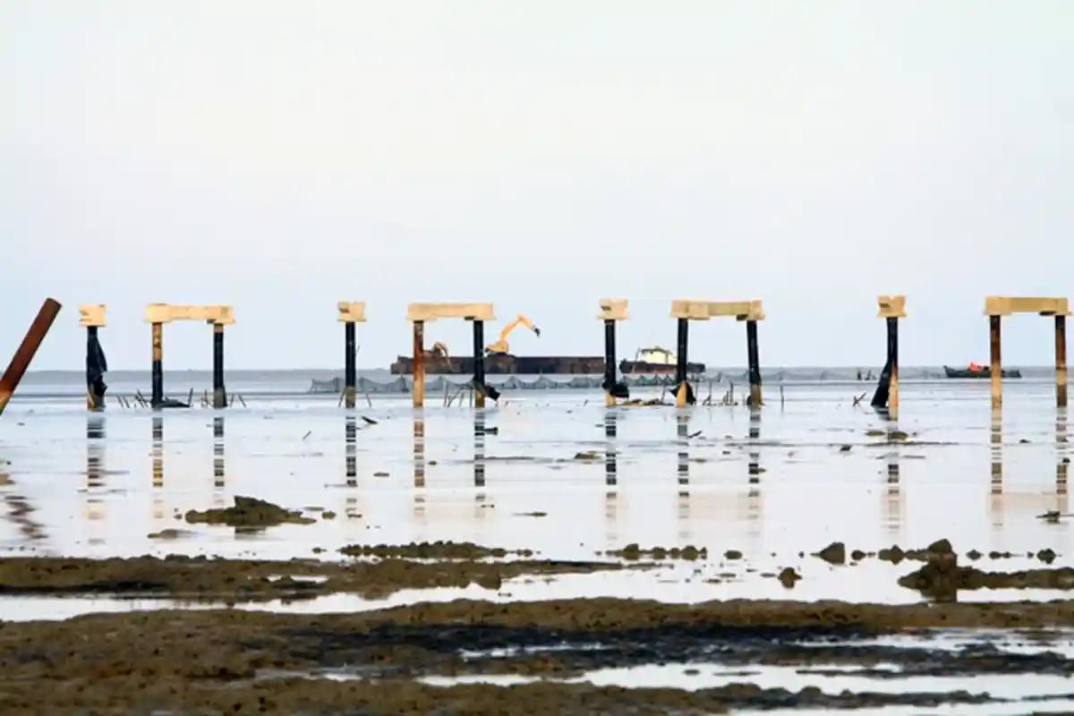 Mulai dari Pembebasan Lahan, Ini Tahapan Pembangunan Ujung Jabung Tahun Ke Tahun