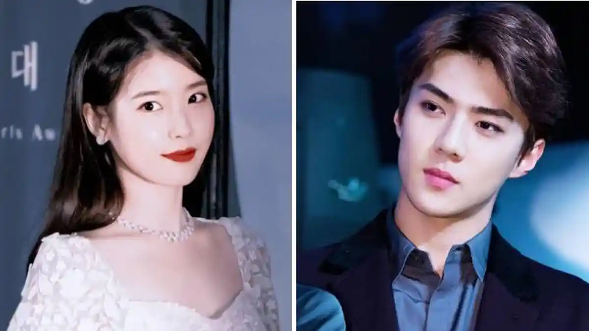 7 Nama Akun Instagram Artis Korea yang Unik dan Rumit Beserta Artinya, dari IU hingga Sehun EXO