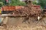 Dinas Kebersihan Bersihkan Sampah di Pintu Air Manggarai