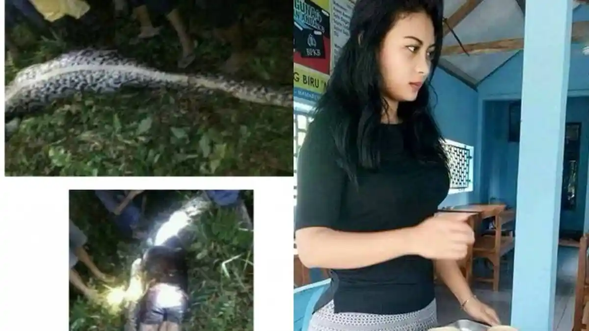 Maret 2017: Geger Pemuda Ditelan Ular Piton Hingga Sosok Artis FTV yang Pilih Jaga Warung Kopi