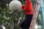Perbaikan PJU