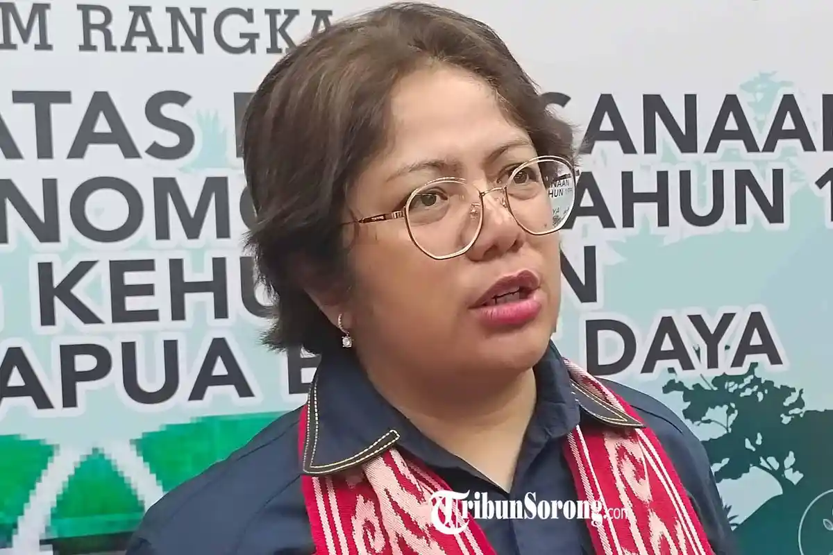 Komite II DPD RI Dorong Identitas Resmi dan Insentif untuk Penjaga Hutan di Papua Barat Daya