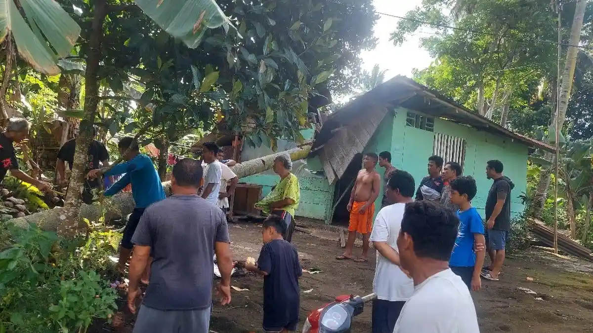 Cuaca Ekstrem di Bitung Sulut, Warga Mengungsi karena Rumah Tertimpa Pohon