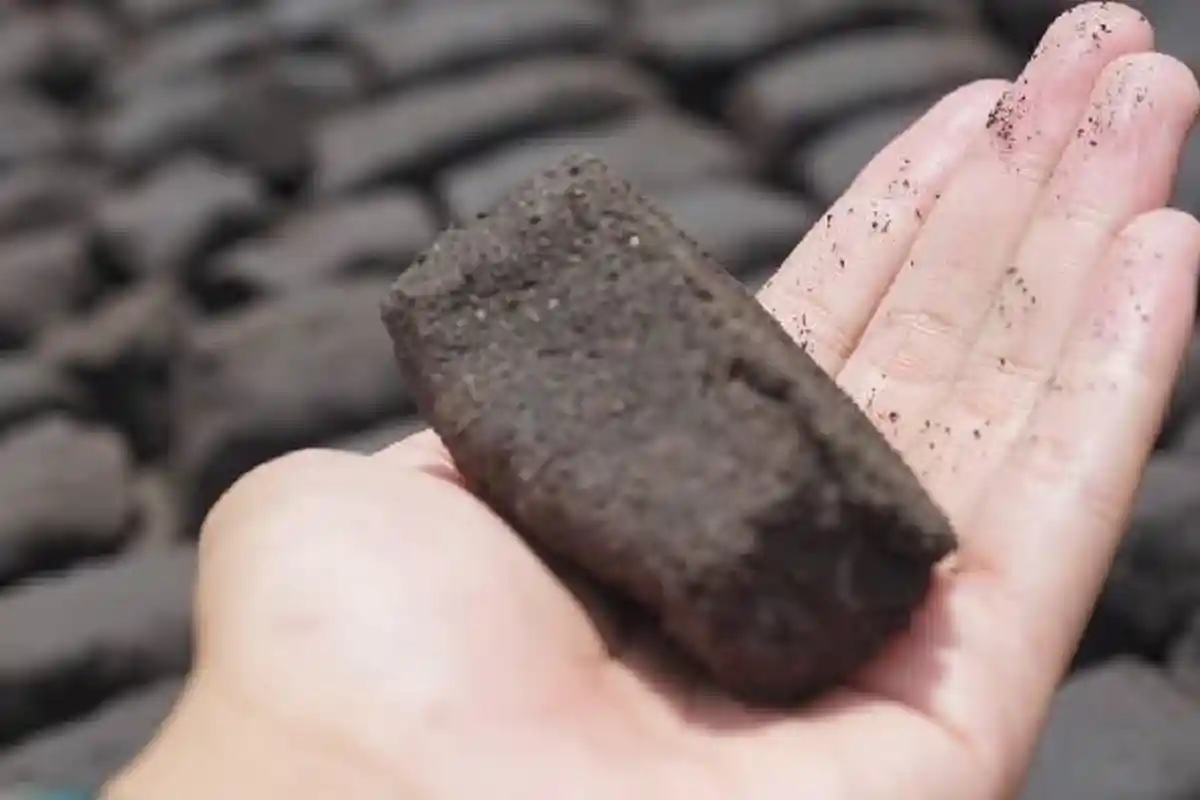 PLN NTB Dorong Pemanfaatan Biomassa untuk Capai Target Nett Zero Emission 2060