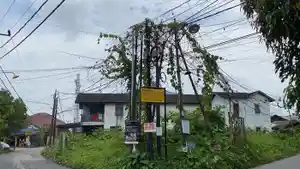 KABEL-Sejumlah-kabel-yang-tampak-semrawut-dan-sudah-ditumbuhi-ta1.jpg
