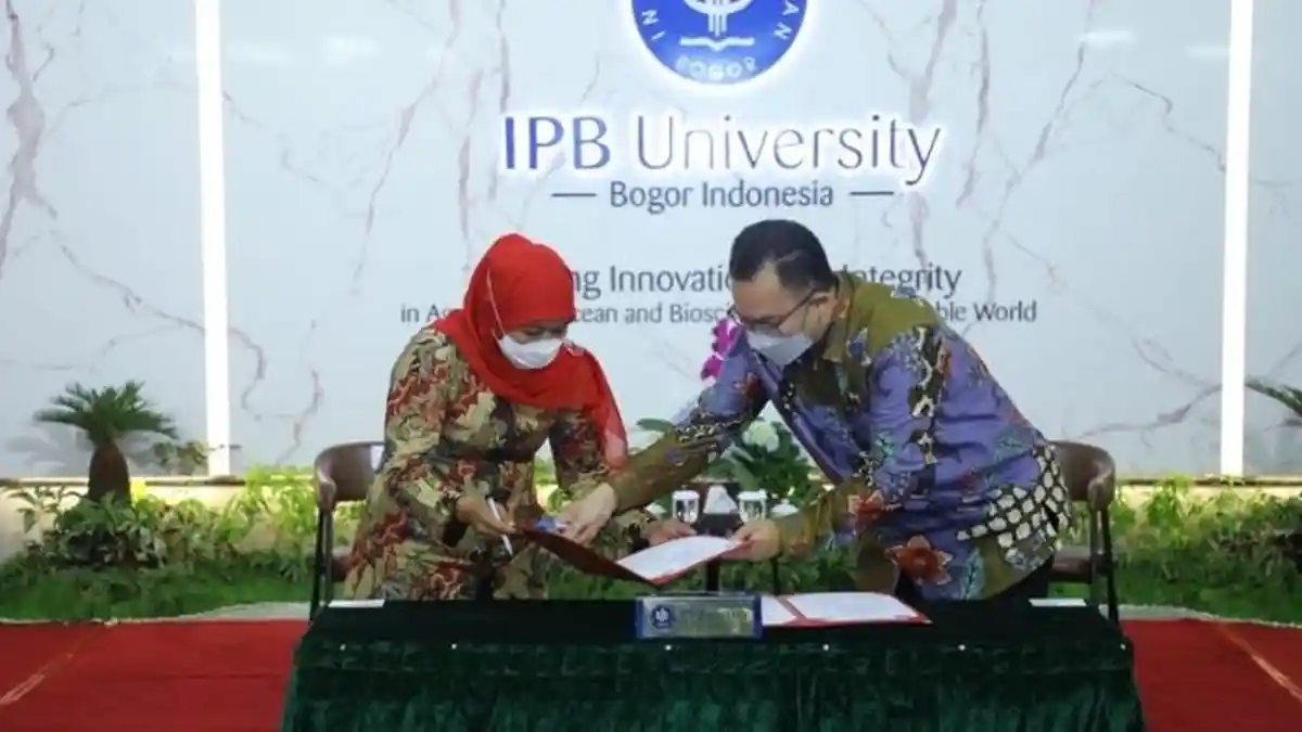 Perkuat Program One Village One CEO, Pemprov Jatim Lakukan MoU dengan Institut Pertanian Bogor